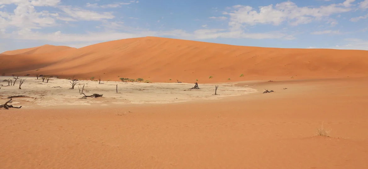 Deadvlei bij Sossusvlei