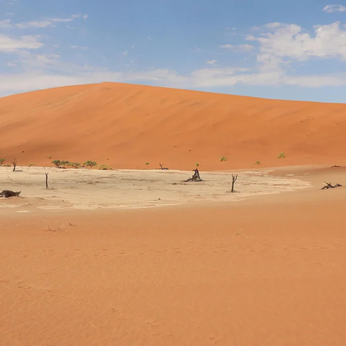 Deadvlei bij Sossusvlei