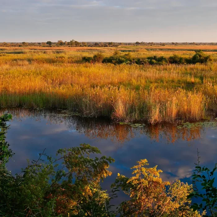 Wetlands in Caprivistrook