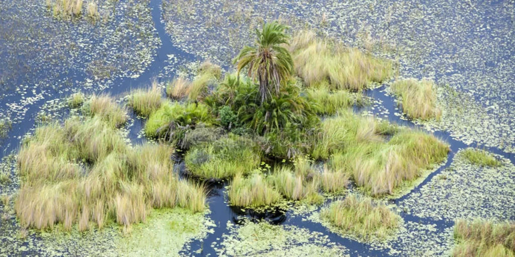 Okavango