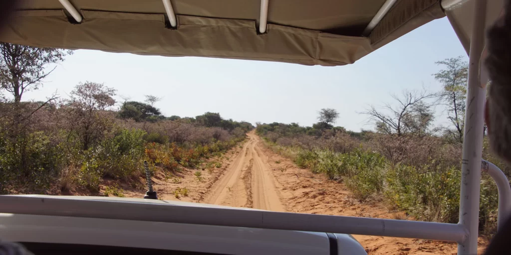 Game drive