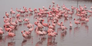 Walvisbaai Walvisbaai