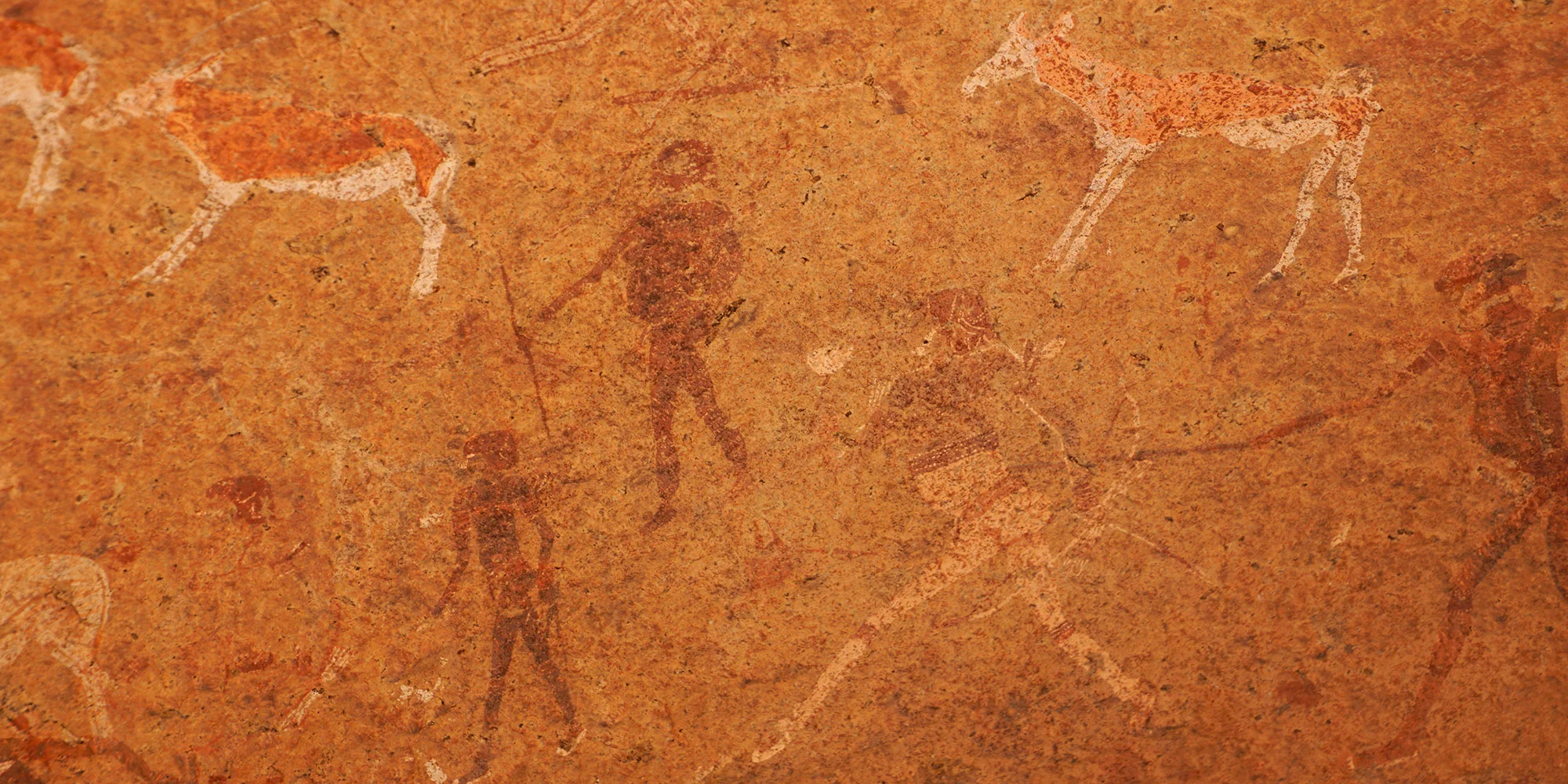 Herkomst pootafdrukken bij rotstekeningen in Damaraland vastgesteld