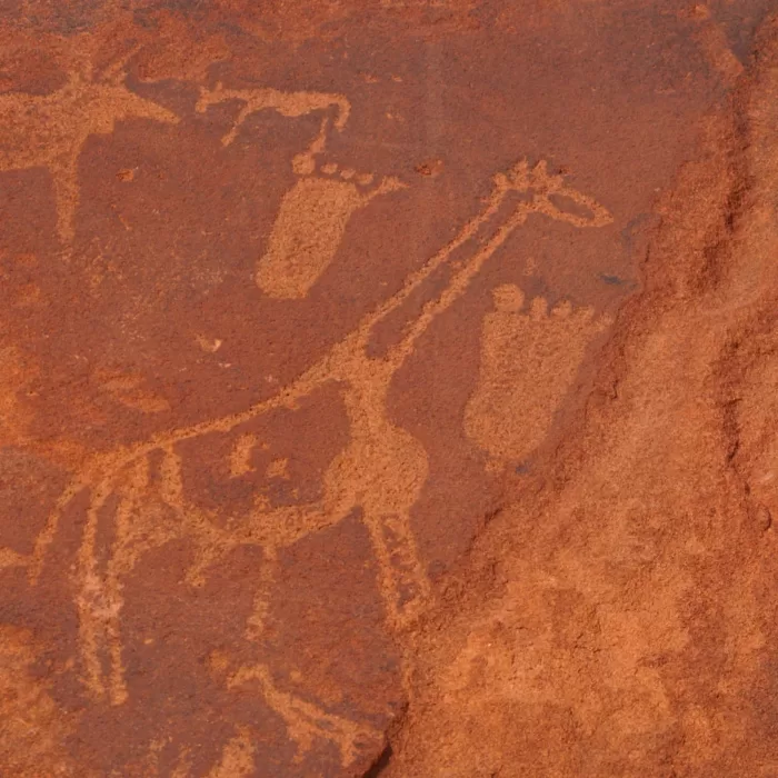 Rotstekeningen bij Twyfelfontein